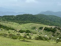 -大姆山草场