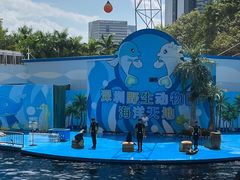 -深圳野生动物园