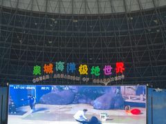 -泉城欧乐堡海洋极地世界