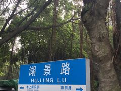 -仙湖旅游度假区