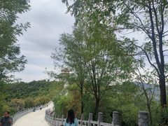 -铜川市金锁关石林
