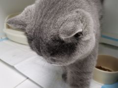 -太原东方动物医院(小店分院)