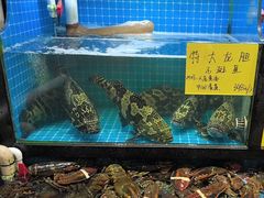 -醉壹号海鲜大排档(厦门美食地标店)