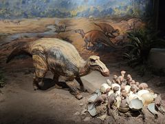 -自贡恐龙博物馆