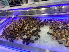-春华海鲜城(广场西苑店)