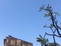 -寻味顺德·顺峰山庄(大良店)