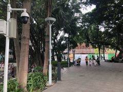 -荔湾湖公园