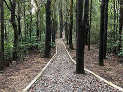 -火炉山森林公园