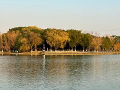 -昆山城市生态森林公园