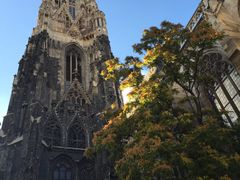 -斯蒂芬主教座堂(Stephansdom)