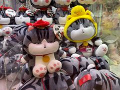 -李子坝梁山鸡(北碚万达五鸡哥店)