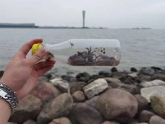 -上海吴淞炮台湾国家湿地公园