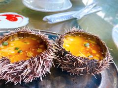 海胆蒸蛋-四川人郑霞海鲜