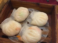虾饺-金苑海鲜酒家(新港中路店)