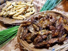 -昆虫窝子·特色云南菜(拓东路总店)