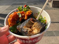 -黑色经典臭豆腐·湖南特产(坡子街店)