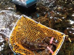 -盒马鲜生(曜一城店)