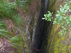 -武夷山风景名胜区-虎啸岩