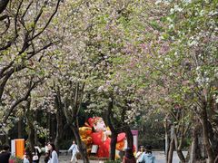 -星湖旅游景区七星岩
