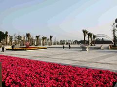 -大亚湾红树林城市湿地公园