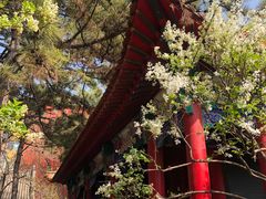 -碑林公园