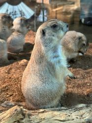 -Zoolung Zoolung动物主题公园(海信广场店)