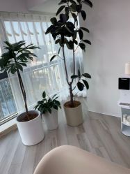 -HEYAN荷妍专业脱毛连锁机构