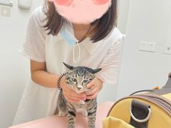 -爱诺耐芙动物医院(万博店)