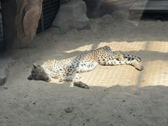 -鄂尔多斯野生动物园