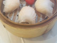 -益健美食大广场(北岭店)