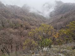 -西安祥峪森林公园