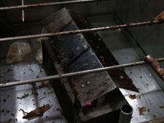 -香木香羊烤全羊羊蝎子(大运河博物馆店)