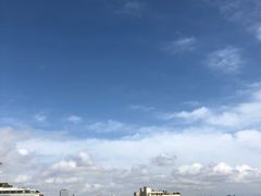 -蛋堡