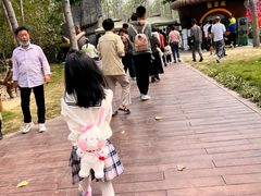 -合肥滨湖国家森林公园