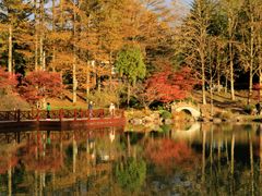 -四明山国家森林公园