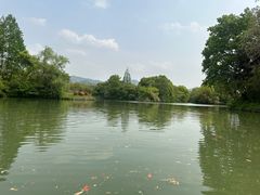 -西溪国家湿地公园