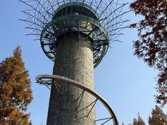 -黄海国家森林公园