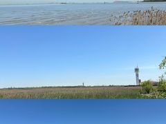 -上海吴淞炮台湾国家湿地公园