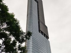 -紫峰大厦