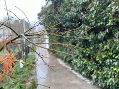 -钟书阁