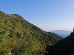 -军营村