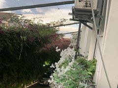-怡得观滇餐厅·地道昆明菜·1996(海埂大坝店)