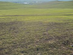 -额尔古纳黑山头绿野马帮骑马场