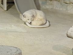 -珠海长隆海洋王国