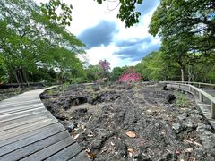 -海口火山口国家地质公园