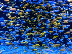 -成都浩海立方海洋公园