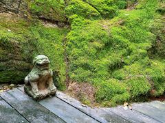 -青竺·青竹茶舍(断桥店)