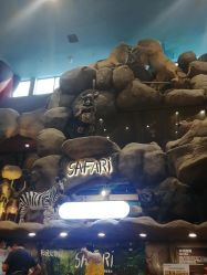 -卡通尼·Safari非洲探索乐园·生日会(金桥国际商业广场店)