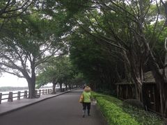 -大湾区中央湿地公园