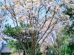 -大钟寺古钟博物馆